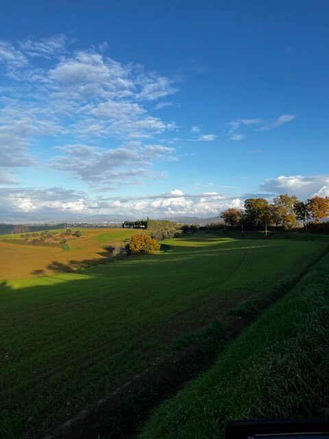 Uitzichtachtertuin